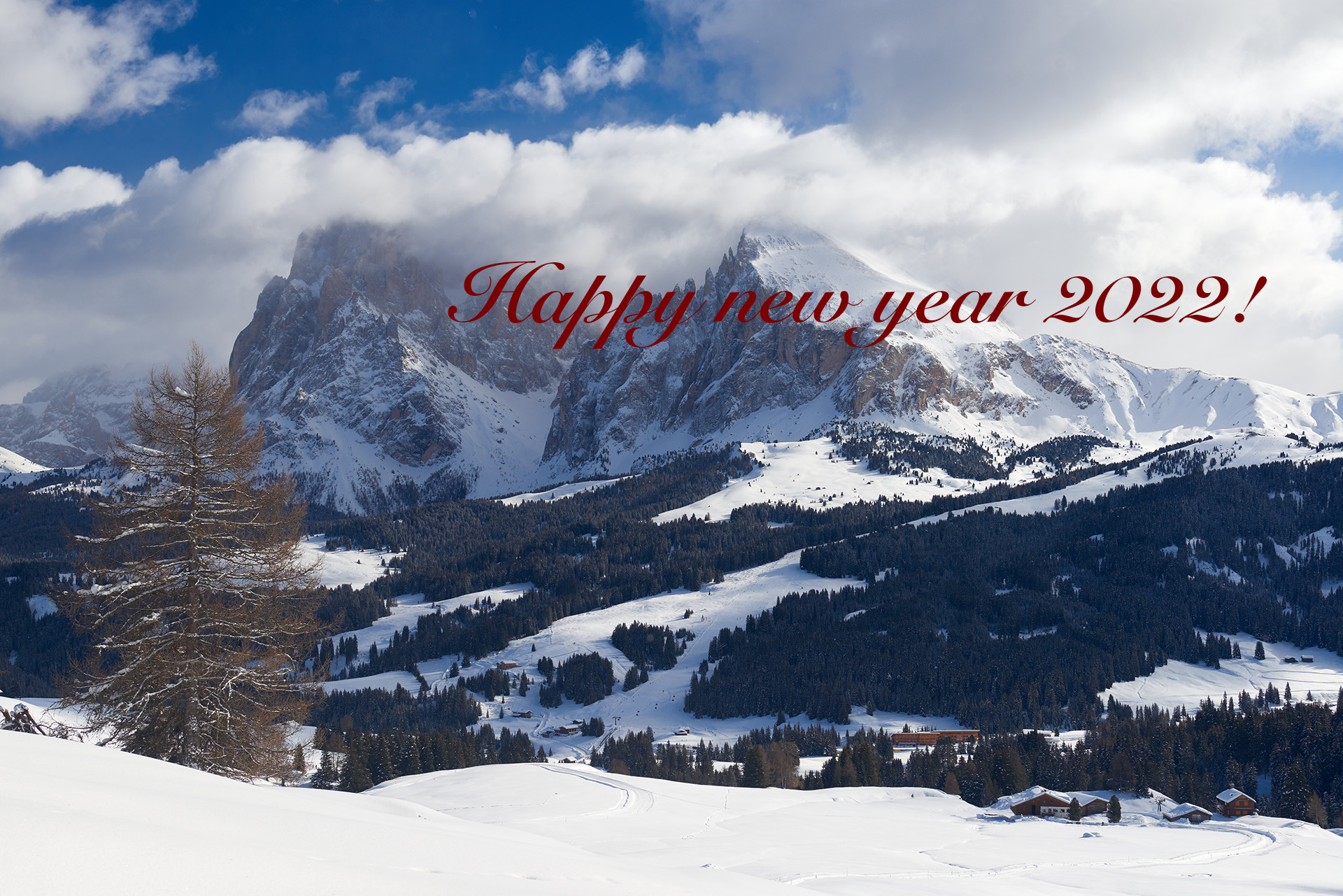 Frohes neues Jahr 2022 wünscht Fototrainer4you!