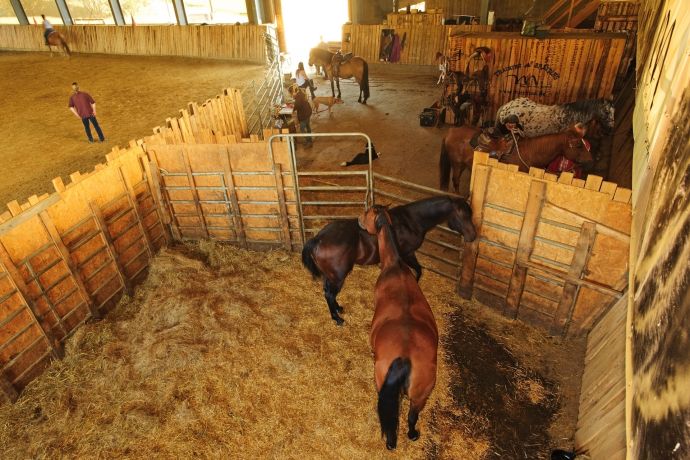 Blick in die Reithalle der MRanch