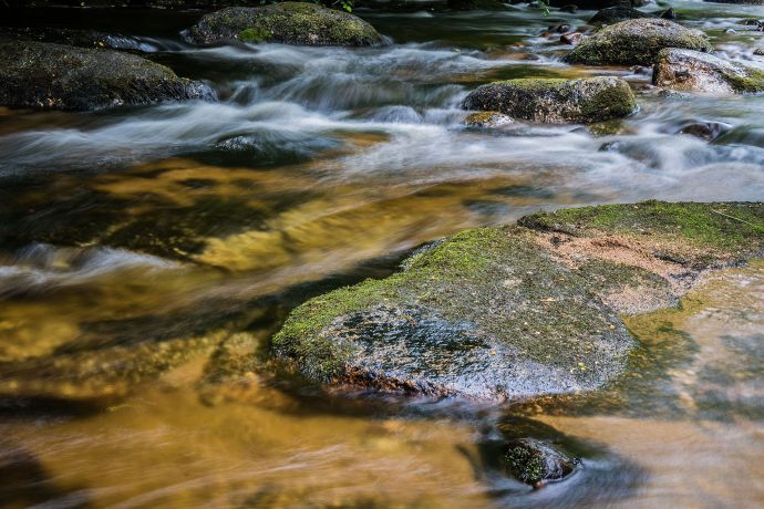 ein Bachlauf dieses Foto zeigt einen Bachlauf
